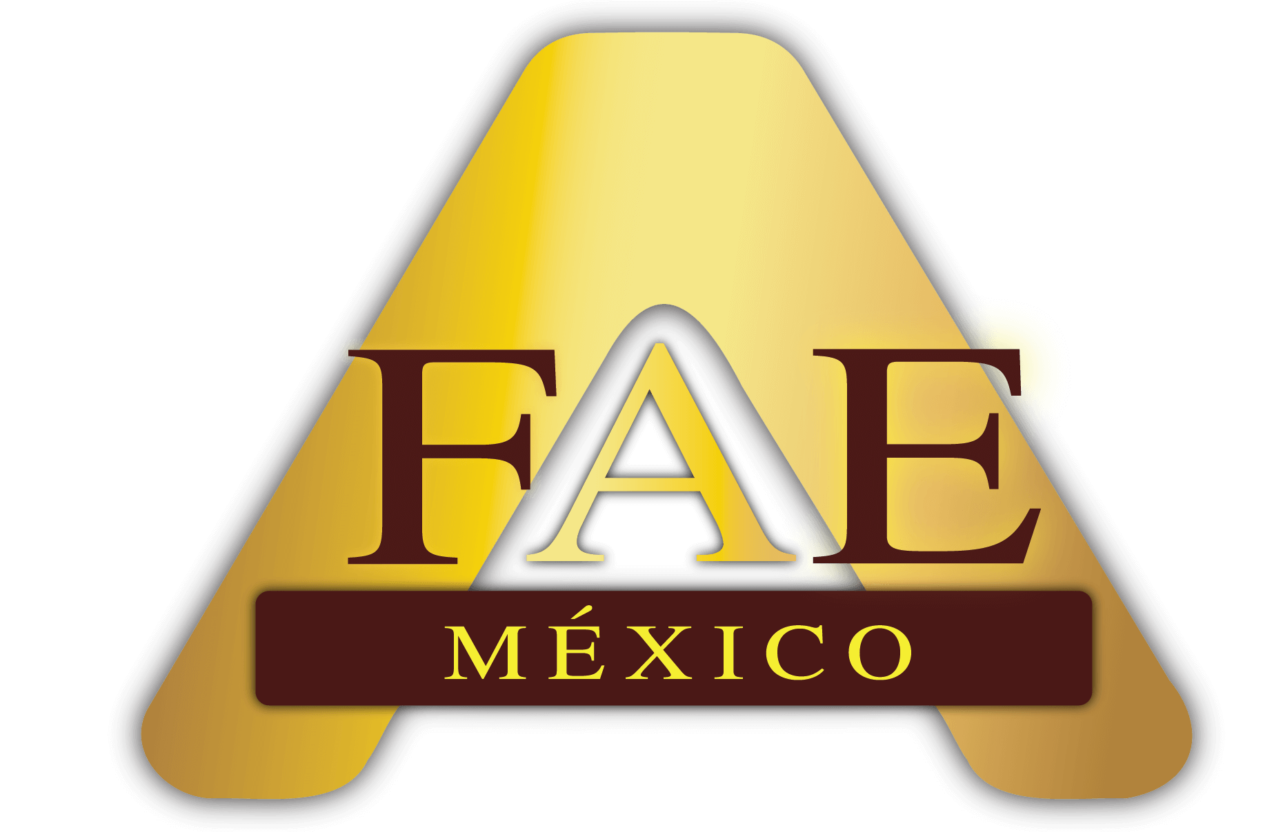 Faexfae Requisitos de la Membresía FAE - FAE MEXICO